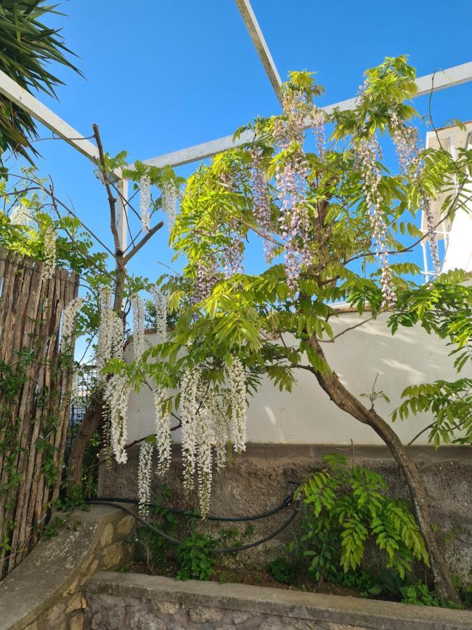 Capri Love Bed and Breakfast Anacapri  Esterno foto